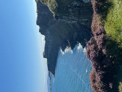 Cliffside view with purple heather and clear waters.