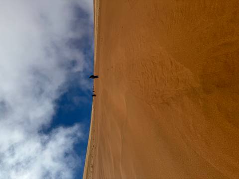       Person climbing a tall sand dune.
  