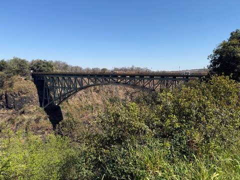       A large bridge over a gorge with greenery.
  