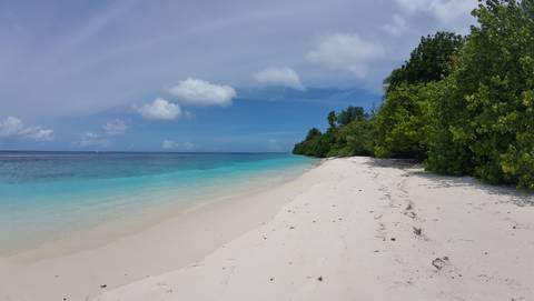 Pristine white sand beach with clear turquoise water and lush greenery.