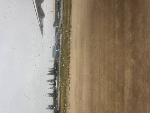       View from a plane window with raindrops on the glass and an overcast sky.
  