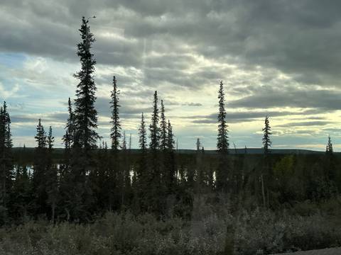       Silhouette of trees against an evening sky with water in the background.
  