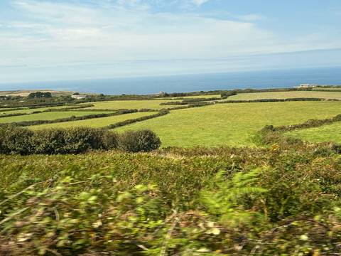 Lush green farmland with an ocean in the distance under a clear sky.