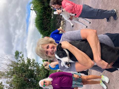 Woman holding a dog with other people and sheep in the background.