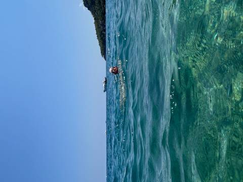       Person swimming in the clear sea with boats in the distance.
  