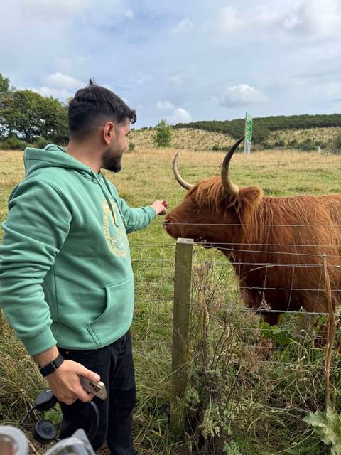       A person reaching out to a Highland cow behind a fence in a grassy field.
  