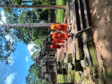 Monks walking through ancient ruins surrounded by lush foliage.