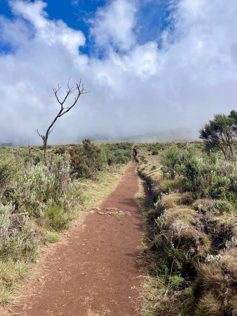 Dirt path through a lush green landscape under cloudy skies.