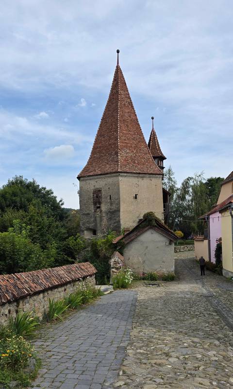       Old fortified tower with rustic architecture surrounded by greenery.
  