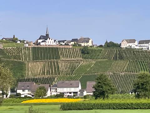 Vineyard on a hillside with a small village and a chapel at the top.