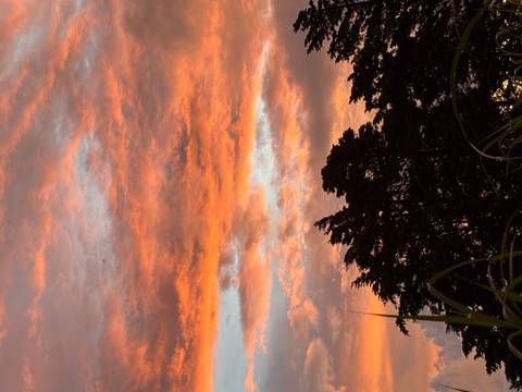 Colorful sunset over trees with vibrant clouds.