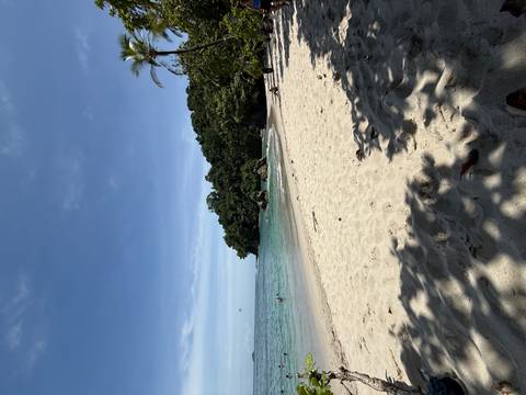 Sandy beach with clear waters and a person swimming.