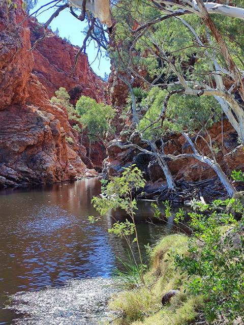       Rocky gorge with a calm water body surrounded by trees.
  