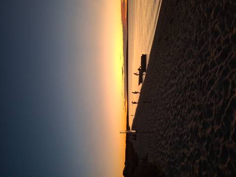 Silhouettes at a beach during sunset.