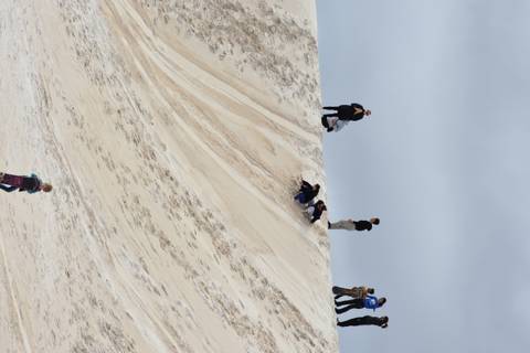       People exploring and sliding down sand dunes.
  