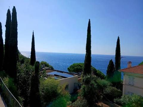 View of the Mediterranean sea from a garden with tall trees.