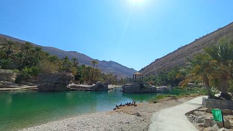 Mountainous area with a peaceful water body and palms.