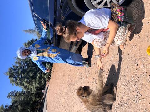 Tourists interacting with a monkey in a mountainous area.