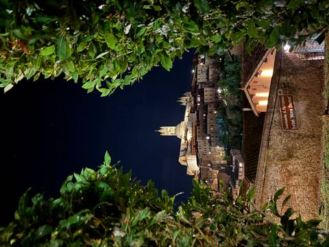 A nighttime view of a historic city with a cathedral, framed by greenery.