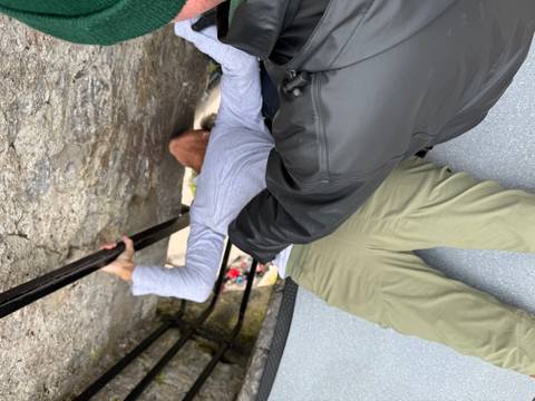 Person leaning back to kiss the Blarney Stone, helped by an attendant.