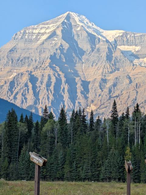 Majestic mountain range with pine trees in the foreground.