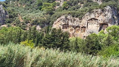       Ancient rock tombs carved into a cliff face with greenery below.
  