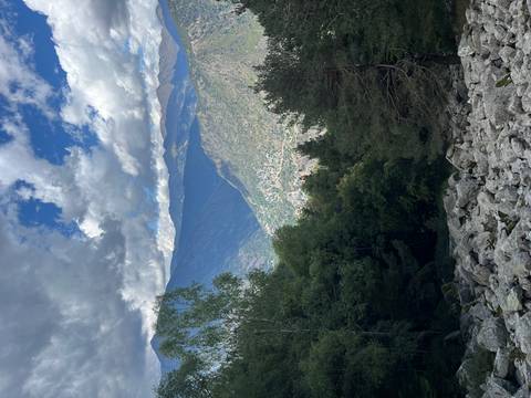       Forest view with a rocky path and mountain in the distance.
  