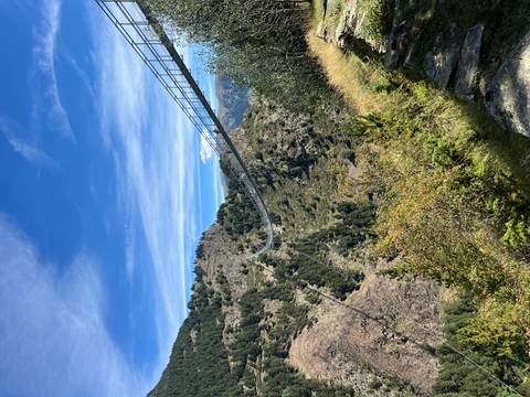       Suspension bridge stretching over a valley with hills.
  