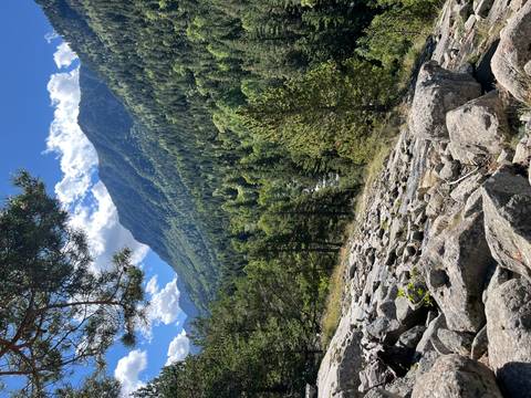       Rocky terrain overlooking a dense forest and mountains.
  
