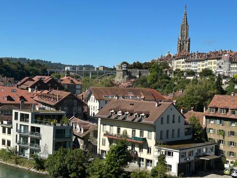 Cityscape featuring historical buildings with a bridge in the background.