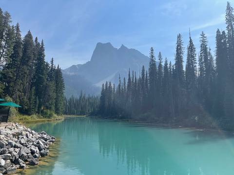 Mountain landscape with dense pine forest and clear turquoise lake.