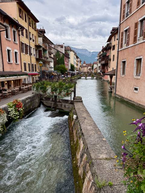       River scene with flowers and buildings in a European town.
  