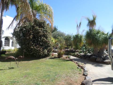 Garden with various trees and plants.