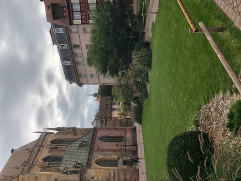 Garden view with traditional buildings.