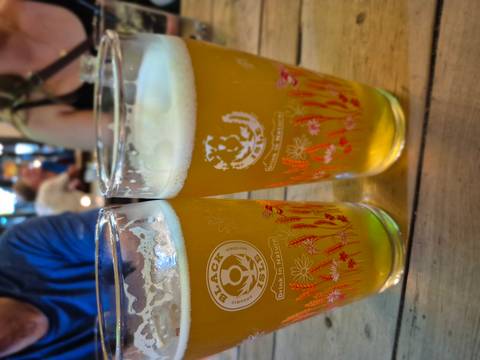 Two pints of beer on a table in a pub.