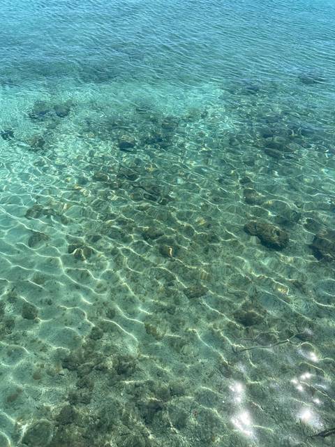 Photo d'avis client sur Mini Rhodes de 3 jours. 