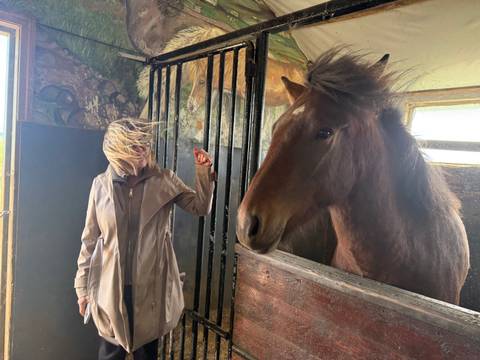 A person standing with a brown horse in a stable.