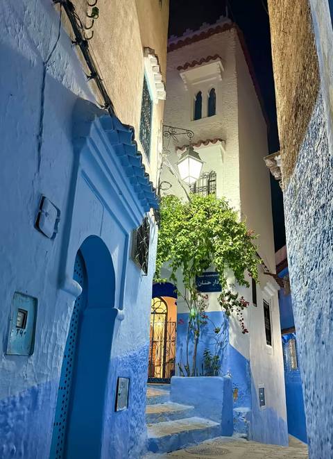Moroccan street with blue buildings and lush greenery under a street lamp at night.