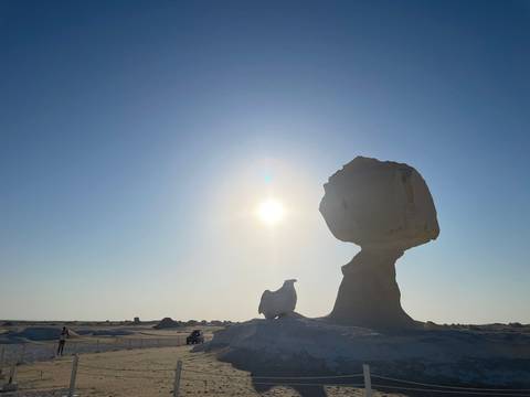       Unique rock formations in a desert under the sun.
  