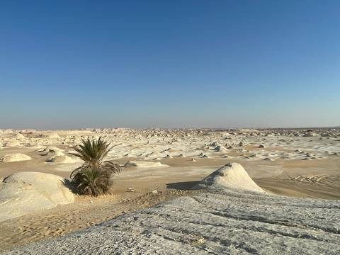 Expansive view of the White Desert.