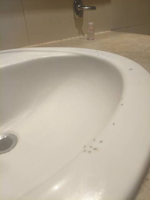 Close-up of a white bathroom sink.