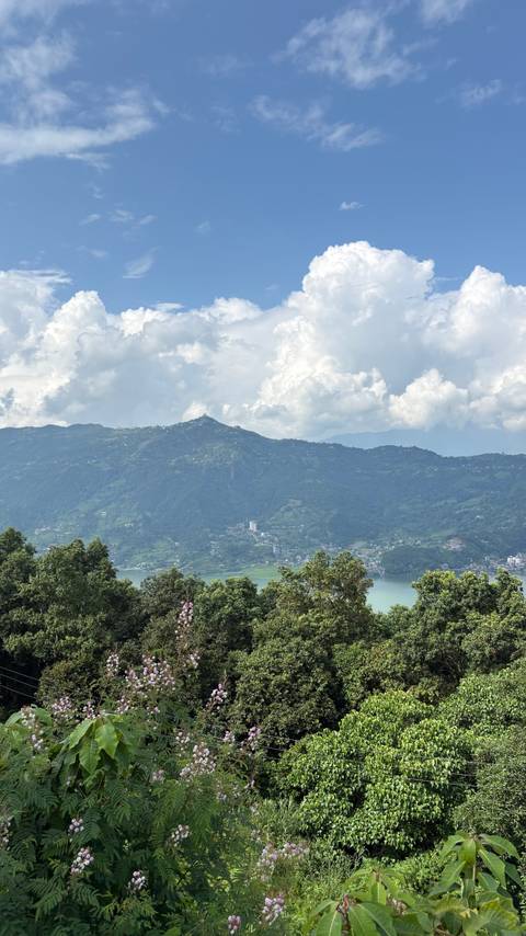 Hilly landscape with trees and a lake