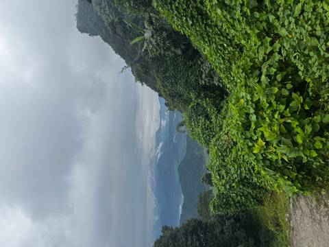 Mountainous landscape with lush vegetation