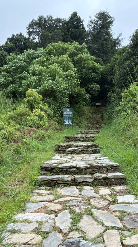 Stone steps with a sign leading into a forest