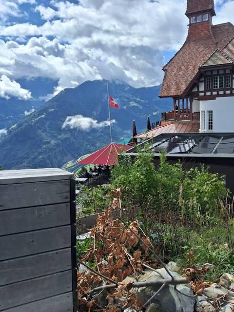 Klantbeoordelingsfoto van Rondreis door Zwitserland – Zermatt, Interlaken, Luzern & Zürich – 8 dagen 