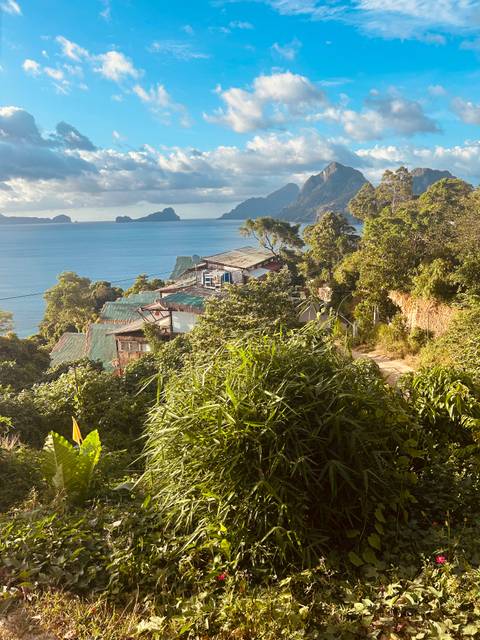 Coastal view from a hilltop with houses and lush foliage overlooking the ocean.