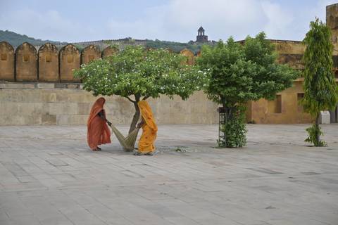 Two women sweeping near a tree with traditional attire.