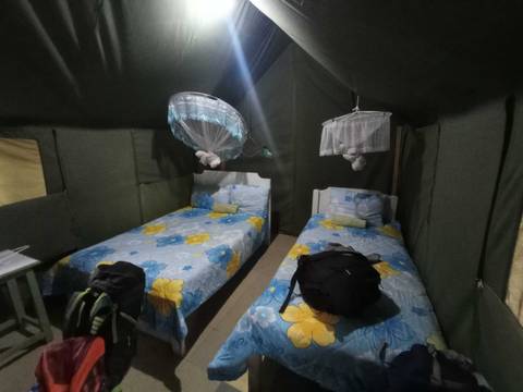       Interior of a tent with two beds and mosquito nets.
  