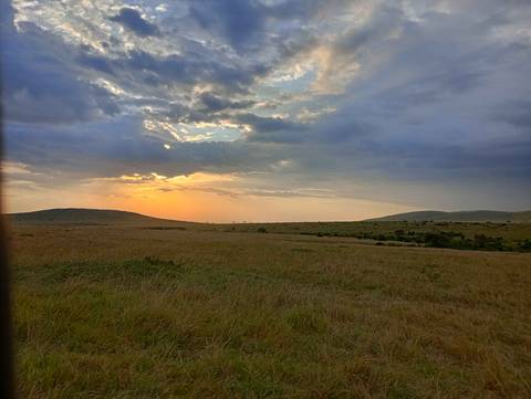 Scenic view of the savannah landscape at sunset.