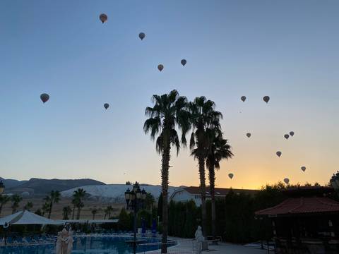 Palm trees silhouetted against a sky filled with hot air balloons.